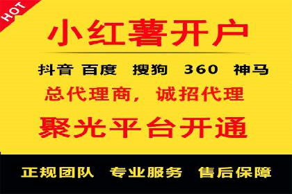 百度SEO优化公司案例：打造品牌网络曝光新高度